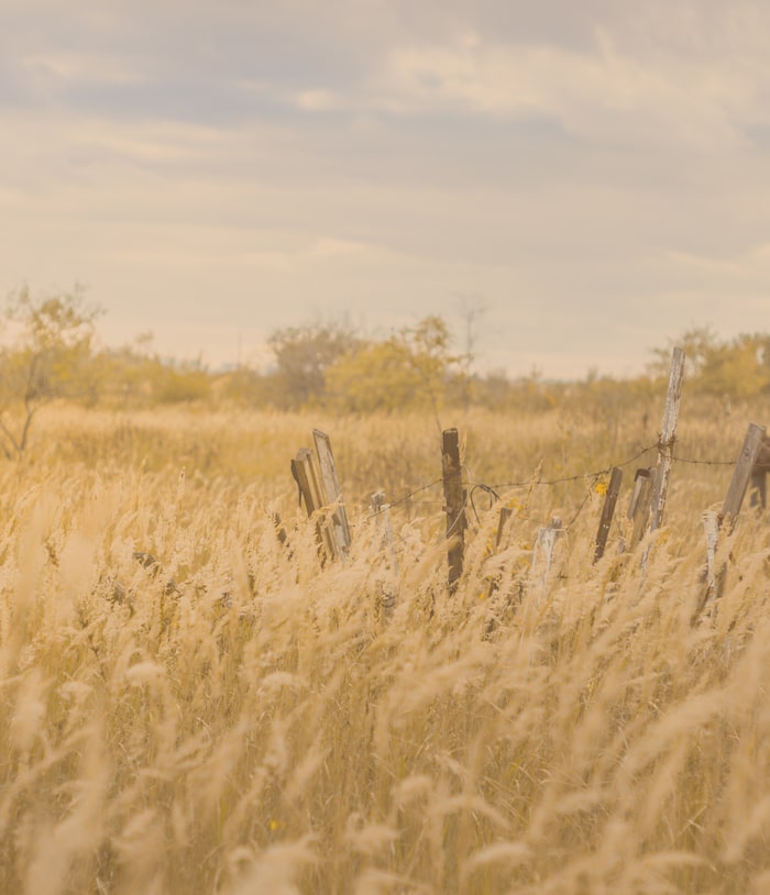 Discover Your Best Smile